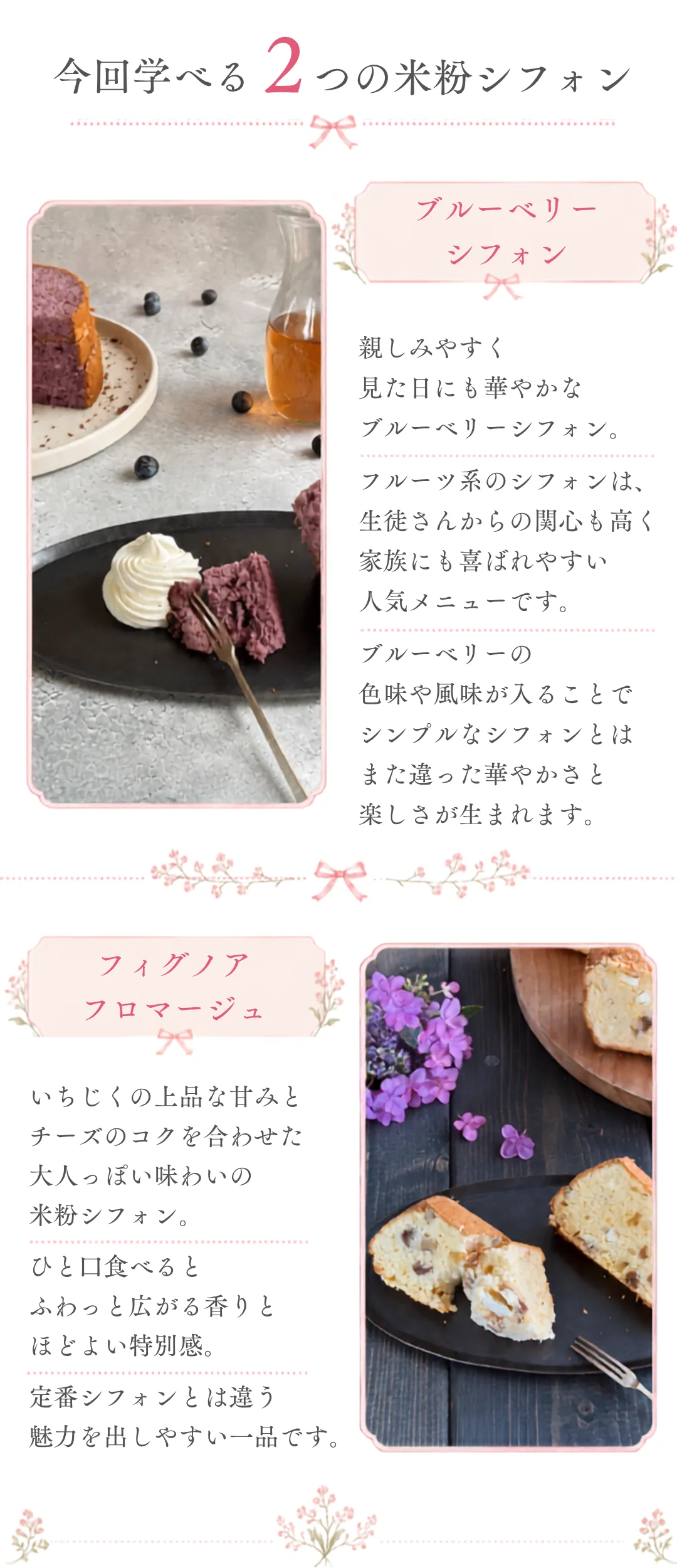 無料オンラインレッスンのご案内 3